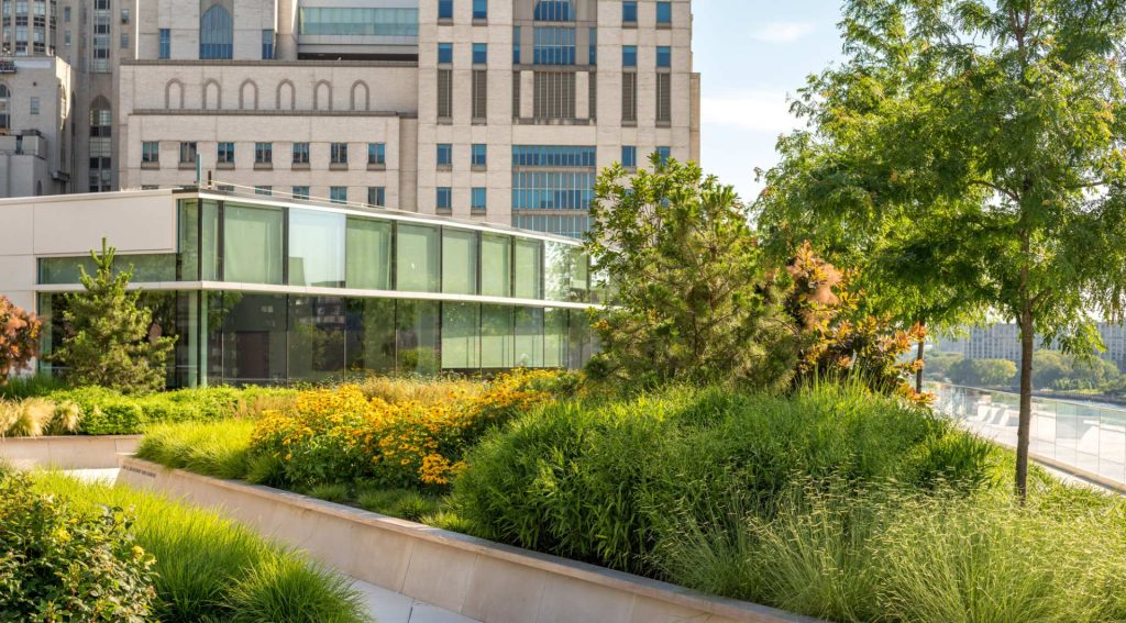 Stavros Niarchos Foundation-David Rockefeller River Campus Kellen Biolink